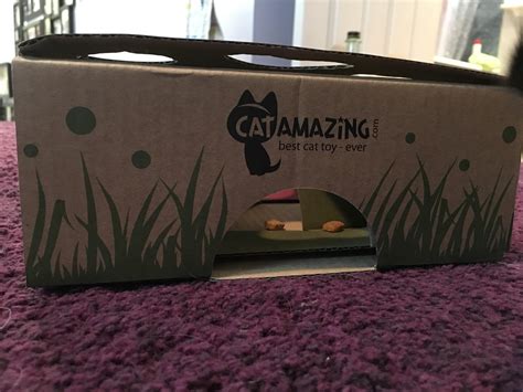 puzzles with cats 9