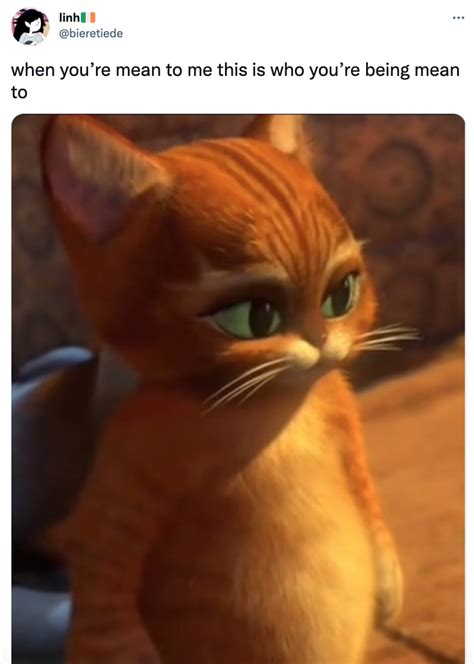 This Is Who You're Being Mean To: Image Gallery | Know Your Meme