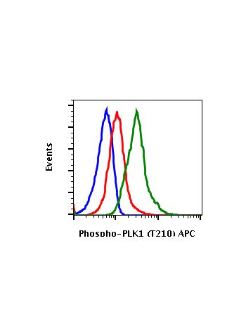 Phospho PLK1 Thr210 C2 Rabbit MAb FITC Conjugate Abwiz Bio