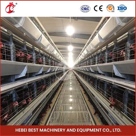 Bestchickencage H Frame Broiler Cages China Collapsible Chicken Cage