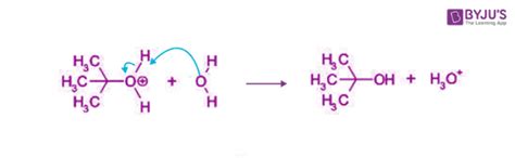 SN1 Reaction Mechanism - Detailed Explanation with Examples