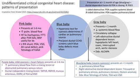 A diagram for undifferentiated congenital heart disease – PEMBlog