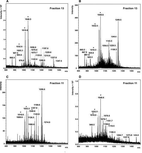 Mass Spectra Of Peptides Isolated From The Hla Of Melanoma Cell Line Download Scientific