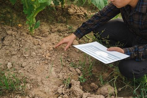 How To Improve Soil Quality Naturally In 4 Easy Steps