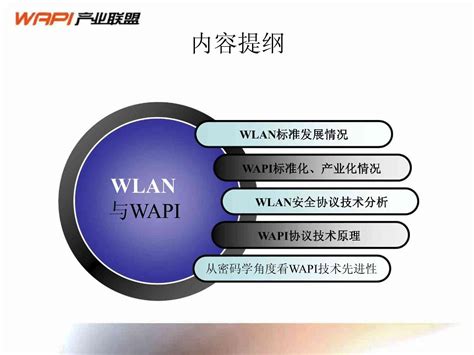 Wapi技术标准培训资料word文档在线阅读与下载免费文档