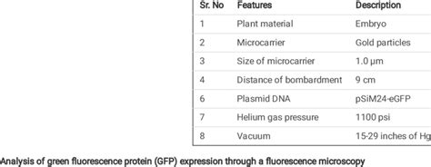 The parameters used for gene gun-mediated transformation | Download ...