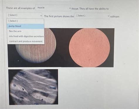 solved    examples  tissue     cheggcom