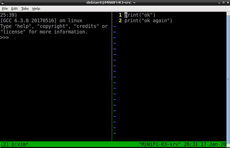 Copy From Vim To Python Console In Tmux Stack Overflow