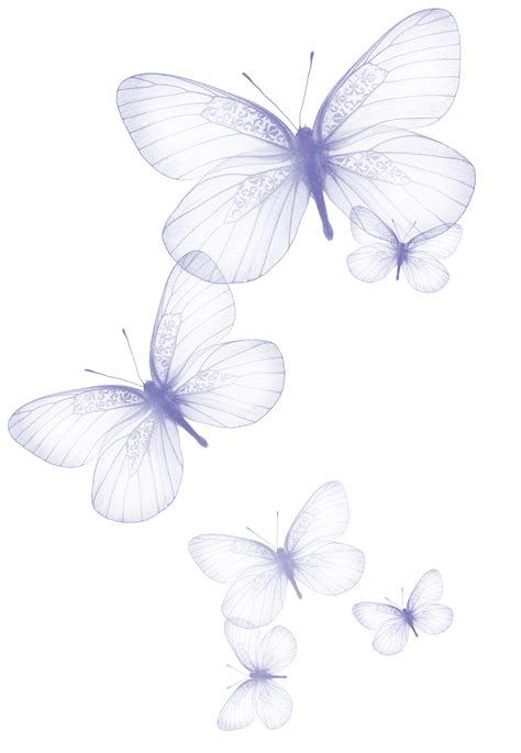 Transparent Background Butterflies