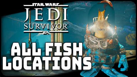 All Fish Locations Star Wars Jedi Survivor Youtube