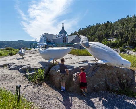 Experience Tadoussac Whale Watching With A First Nations Twist ...