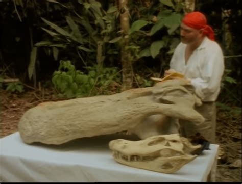 Purussaurus skull next to a black caiman skull and a dude dressed like ...