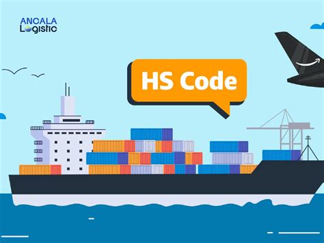 Apa Itu HS Code Penjelasan Fungsi Dan Cara Mencari HS Code Untuk