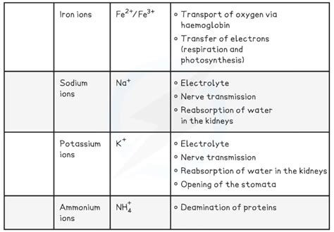 OCR A Level Biology 复习笔记2 2 14 Inorganic Ions 翰林国际教育