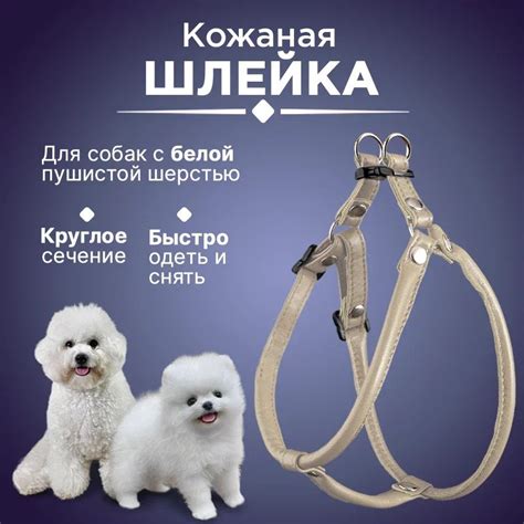 Шлейка для шпица круглая кожаная, шлейка для пушистых белых собак ...