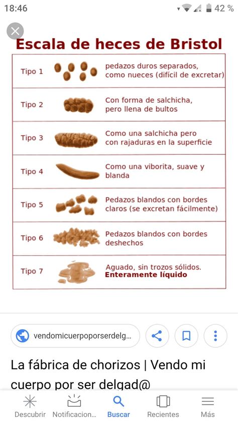 Conoces La Escala De Heces De Bristol CasiMedicos Khondrion