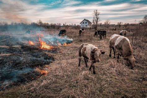 Farming Through Wildfire Season Program - Farmer Campus