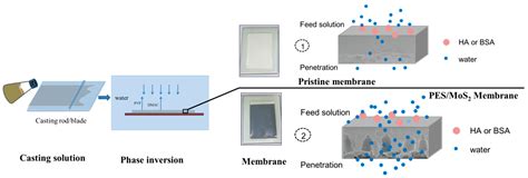 Membranes Free Full Text Tailoring Morphology And Properties Of