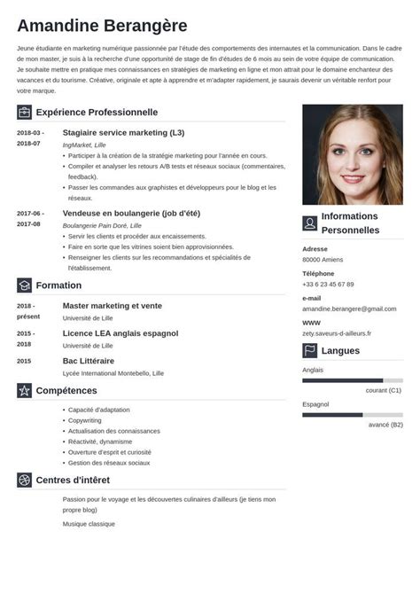 Blog Exemples Cv Pdf Modele Vibes Artofit