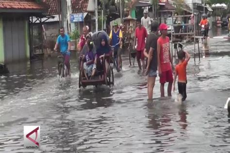 Korban Banjir Rob Di Pekalongan Capai Jiwa Antara News