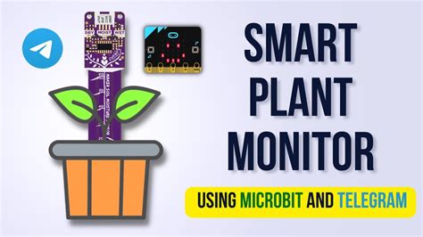 Smart Plant Monitor Using Microbit And Soil Moisture Sensor YouTube