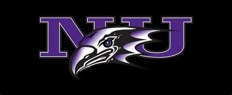 Niagara Purple Eagles logo Digital Art by Red Veles