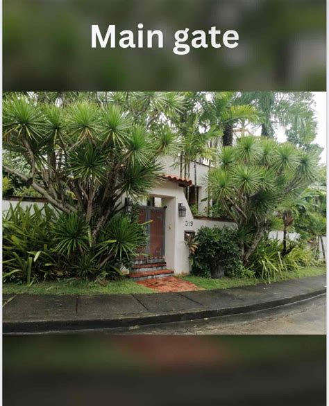 4 Bedroom House And Lot For Sale In Ayala Alabang Village House For