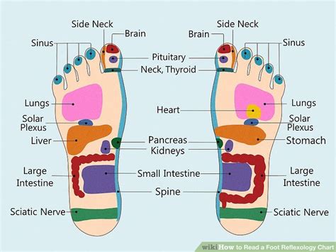 How To Read A Foot Reflexology Chart With Sample Chart