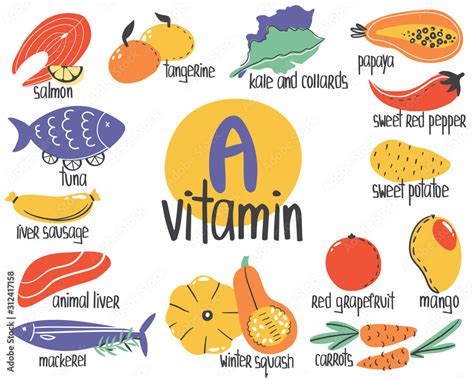 Hand drawn vitamin A or retinol food sources: liver, tangertine, winter ...