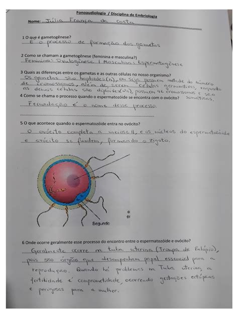 Embriologia Questoes - Questões de Embriologia | PDF
