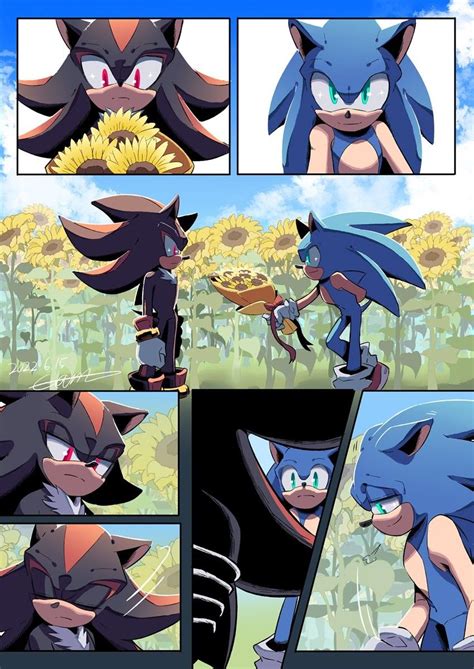 Hedgehog Art Shadow The Hedgehog Sonic The Hedgehog Sonic Knuckles