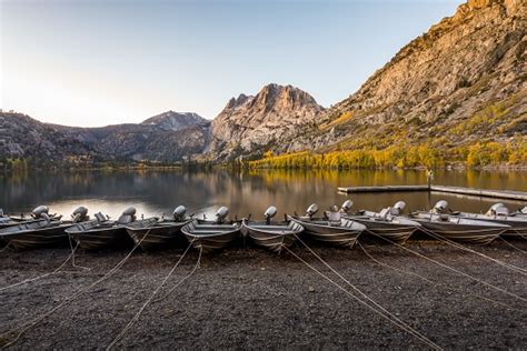 Can You Fish in Mammoth Creek?