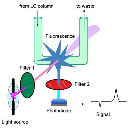 Fluorescence Detector