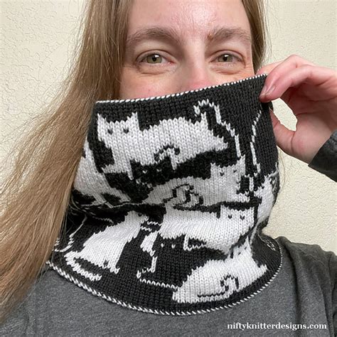 Ravelry Herding Cats Cowl Pattern By Lisa Hannan Fox