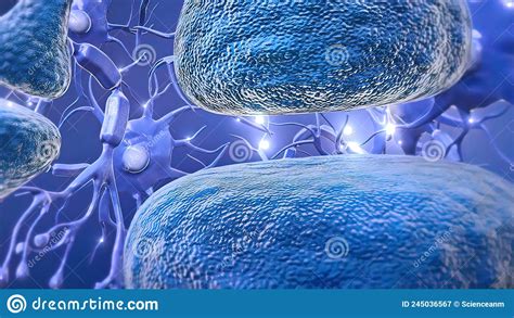 Neurons Are The Fundamental Units Of The Brain And Nervous System Stock