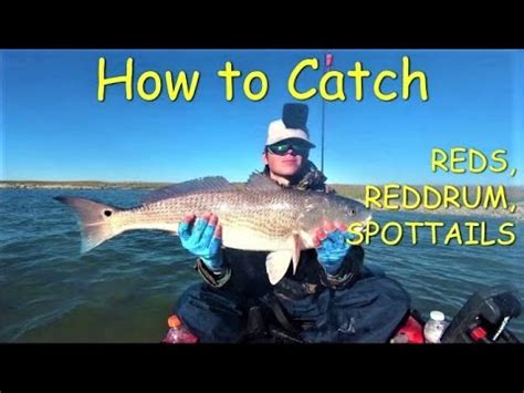 How To Catch REDFISH In The WINTER YouTube