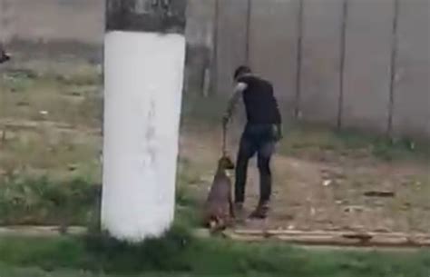 Vídeo de homem arrastando cachorro para abandoná lo gera revolta