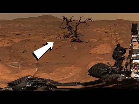 Nasa S Mars Rover Perseverance Sent Most Spectacular Footage Of Mars