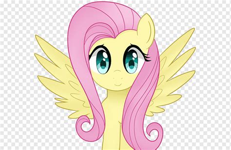 Pony Fluttershy Rainbow Dash Rareza Diverso Púrpura Mamífero Png