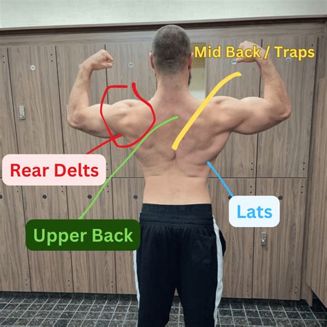 Single Arm Dumbbell Row Form : A Complete Guide - Eric Roberts