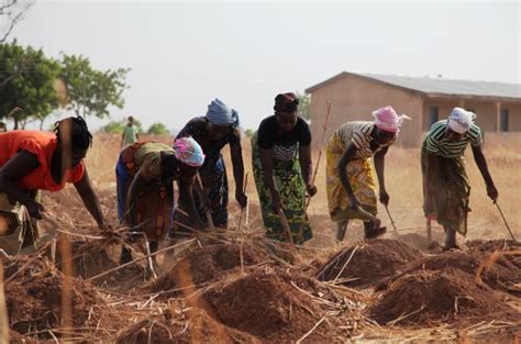 Rural Women S Farmers Association Of Ghana Prepping A Field Wikifarmer