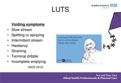 Ppt The Symptoms And Management Of Lower Urinary Tract Symptoms Luts