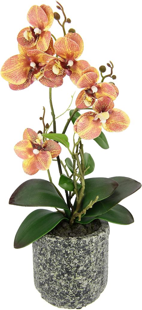 Amazon De Kunstblume Schmetterling Orchidee Mit Bl Tter Und