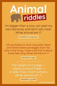 27 Animal Riddles For Kids, For Car Rides, Classrooms (FREE Printable)