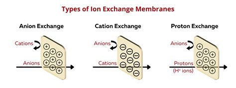 Ion Exchange Membranes Fuel Cells CAPLINQ