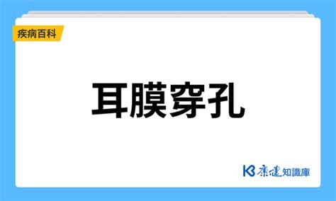 耳膜穿孔是什麼？一次了解耳膜穿孔症狀、治療以及如何預防 康健知識庫