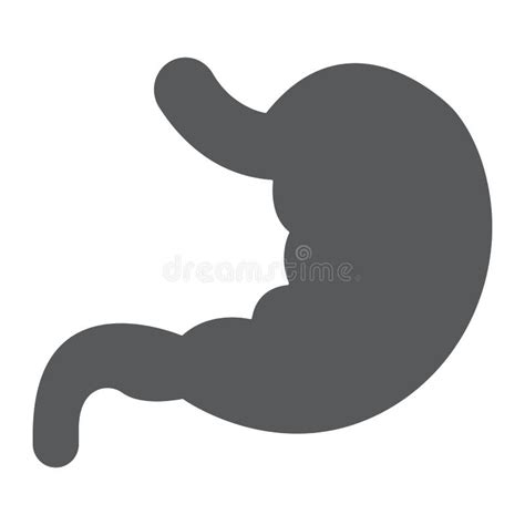 Stomach Glyph Icon Anatomy And Biology Stock Vector Illustration Of