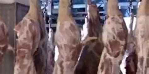 Lisa Gaston German Milf Fucked By Two Guys Tnaflix