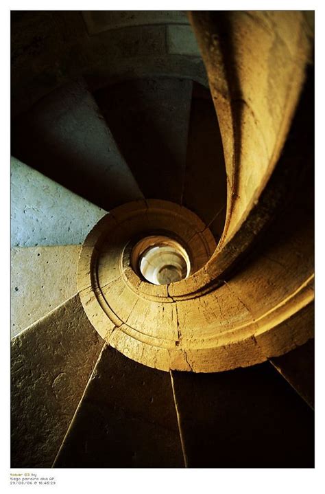 Stairs Staircase Design Stair Well Spiral Stairs