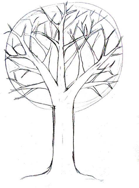 How To Draw A Tree